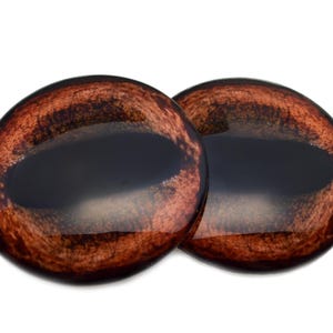May include: Two brown and black realistic looking glass eyes for crafts. The eyes have a dark brown iris and a black pupil.