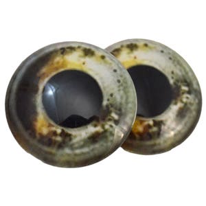 Koi Fish Glass Eyes Pick Your Size for Jewelry Making, Art Dolls, Taxidermy, Sculptures Eyeball Flatback Domed Circle Cabochons image 1