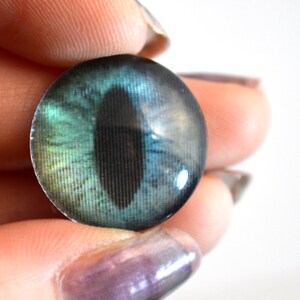 Puede incluir: Primer plano de un ojo de vidrio azul y verde con pupila negra. El ojo es redondo y tiene un acabado brillante.
