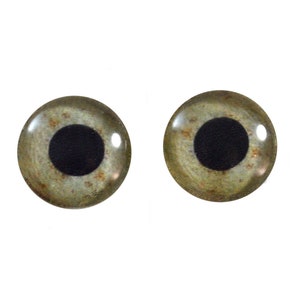 May include: Two round, green and brown plastic eyes with black pupils. The eyes are for craft projects.