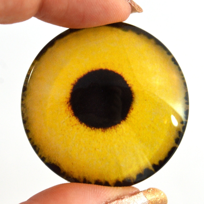 Bright Yellow Sparrow Hawk Glass Eyes - Realistic 8mm Cabochons For Crafts, Taxidermy & More
