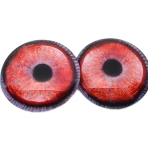 May include: Two round, red-colored glass eyes with black pupils. The irises have a speckled pattern with shades of red and purple. The edges are outlined with a dark purple border, and the background is white.
