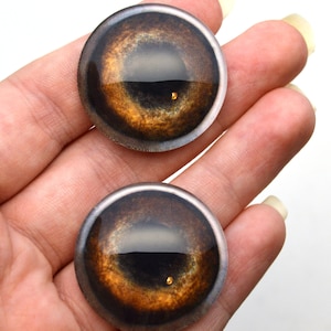 Medium Brown Dog Glass Animal Eyes, 6mm to 40mm, Jewelry Making Art Dolls Puppy Taxidermy Sculptures Polymer Clay Eyeball Flatback Domed image 7