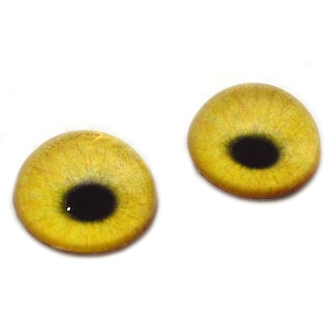 May include: Two yellow glass eyes with black pupils, commonly used for craft projects.