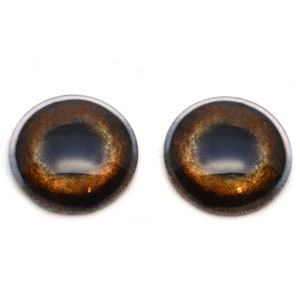 May include: Pair of brown and black plastic safety eyes with a black pupil and a white ring around the iris.
