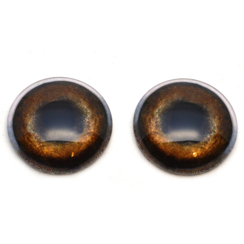 May include: Pair of brown and black plastic safety eyes with a black pupil and a white ring around the iris.
