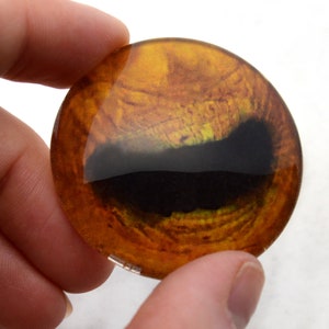 Puede incluir: Un ojo de vidrio redondo, marrón y amarillo con una pupila negra. El ojo tiene un diámetro de aproximadamente 2,5 cm.