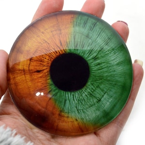 Könnte beinhalten: Ein rundes Glasauge mit einer braunen und grünen Iris. Die Pupille ist schwarz. Das Auge hat einen Durchmesser von etwa 5 cm.