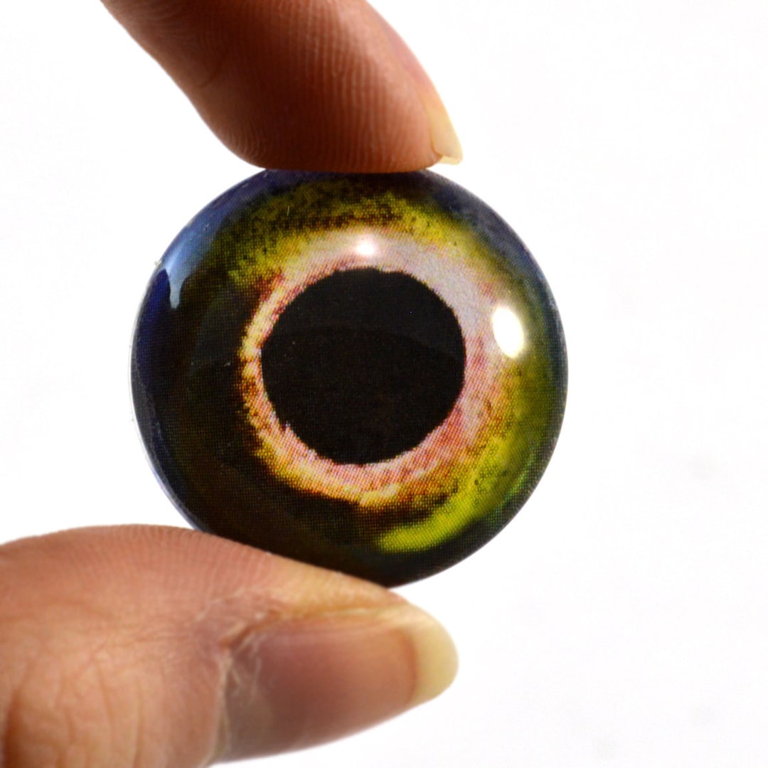 Yellow and Green Fish Glass Eyes Pick Your Size for Jewelry Making Art