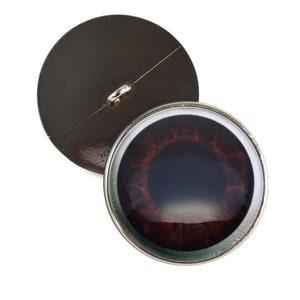 May include: A brown eye button with a silver rim. The button has a black pupil and a brown iris. The back of the button is a plain silver color.