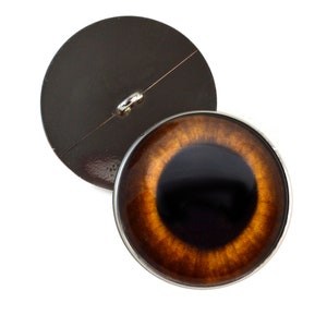 May include: A pair of brown animal eyes with a black pupil and a silver rim. The eyes are attached to a brown button with a silver loop.