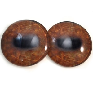 May include: Two brown, glass-like, oval-shaped doll eyes. The eyes have a dark brown center and a lighter brown outer ring with subtle, textured details. The glossy surface reflects light.