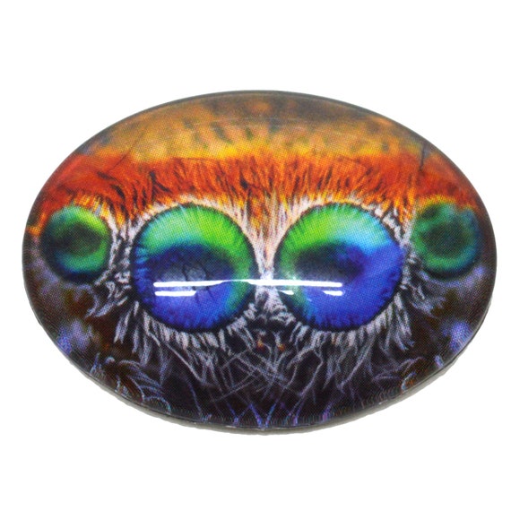 18x25mm Single Colorful Jumping Spider Oval Glass Eyes bug Insect Cabochon