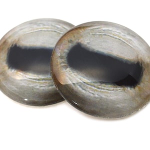 May include: Two glass eye cabochons with a realistic design. The eyes have a dark, oval-shaped pupil and a light brown and gray iris. The glass is clear and glossy, reflecting light.