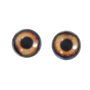 Puede incluir: Dos ojos de vidrio marrones con pupilas negras, adecuados para proyectos de manualidades.