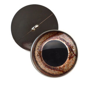 May include: A brown and black eye button with a silver rim. The button has a black pupil and a brown iris. The button is attached to a silver shank.