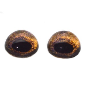 May include: Two brown plastic safety eyes with black pupils. The eyes have a shimmery gold finish.