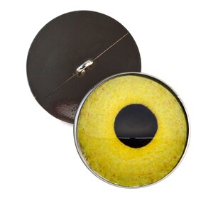 May include: A yellow button with a black pupil and a silver rim. The back of the button is black.