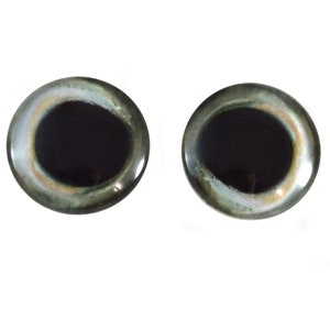 May include: Two large, round, black and gray plastic eyes with a white ring around the pupil. These eyes are commonly used for craft projects.