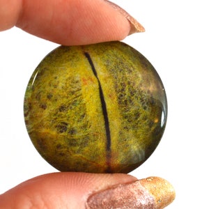 Könnte beinhalten: Ein runder, grüner und brauner Glascabochon mit einer schwarzen Linie, die durch die Mitte verläuft. Der Cabochon hat eine glänzende Oberfläche.