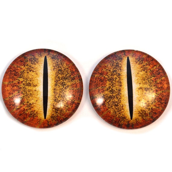 Naranja Dinosaurio Ojos de cristal Joyería Suministros Arte - Etsy México Naranja Dinosaurio Ojos de cristal Joyería Suministros Arte - Etsy México