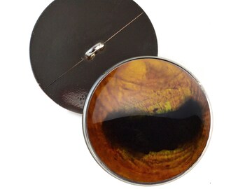 10 mm - 30 mm goudgeel paard realistische knoopogen opnaaien schachtlussen knuffeldier plushie unieke gehaakte pop sieraden pluche