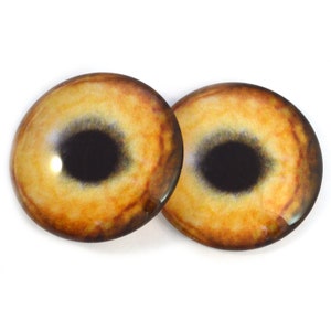 May include: A pair of realistic glass eyes with a yellow iris and black pupil. The eyes are perfect for crafting projects, such as plush toys, dolls, and other handmade creations.