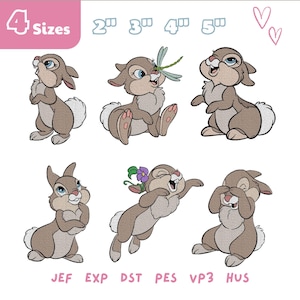 May include: Six brown and white rabbit embroidery designs in various poses, including one with a dragonfly and one with a purple flower. The text 4 Sizes 2" 3" 4" 5" appears at the top, and file formats JEF, EXP, DST, PES, VP3, HUS are listed below.