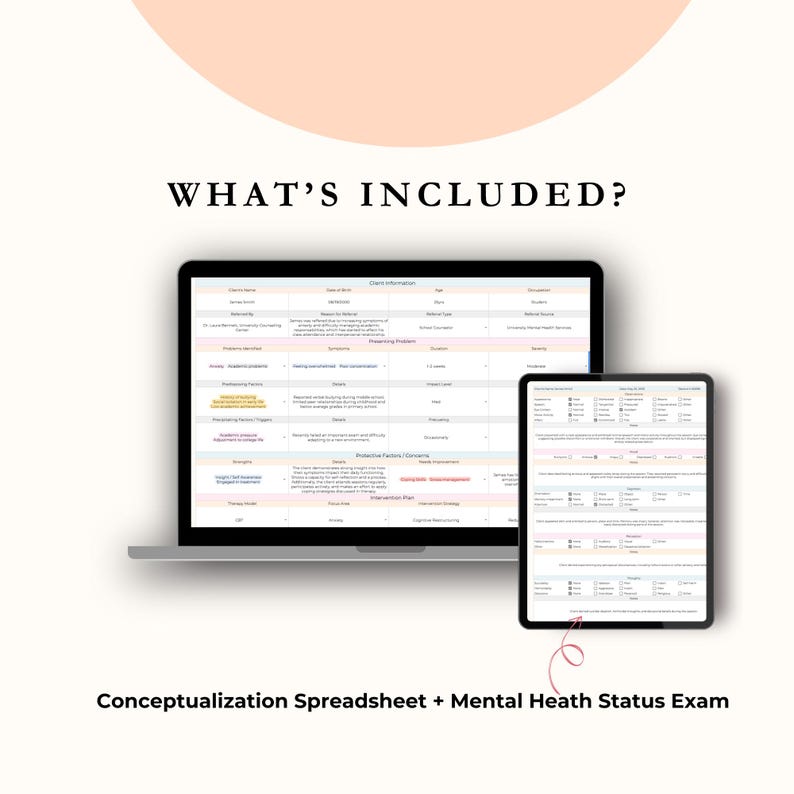 Psychology Student Bundle | DSM-5 Study Guide + Case Conceptualization Spreadsheet + Bonus Practice Workbook image 3
