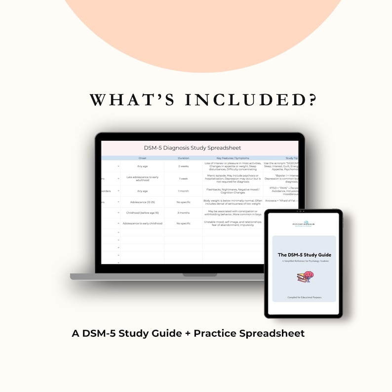 Psychology Student Bundle | DSM-5 Study Guide + Case Conceptualization Spreadsheet + Bonus Practice Workbook image 2