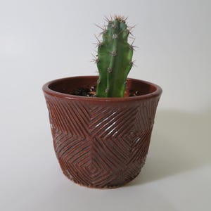 May include: A green cactus with sharp spines in a brown ceramic pot. The pot has a geometric pattern carved into its surface. The cactus is centered in the pot, which is set against a white background.