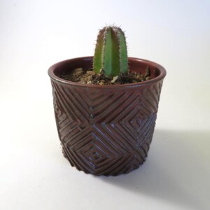 May include: A small green cactus in a decorative, dark red ceramic pot. The pot has a geometric, carved design. The cactus is centered in the pot, which is filled with soil. The background is plain white.