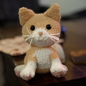 Custom Crochet Cat Plush – Made to Order | Personalized Kitty