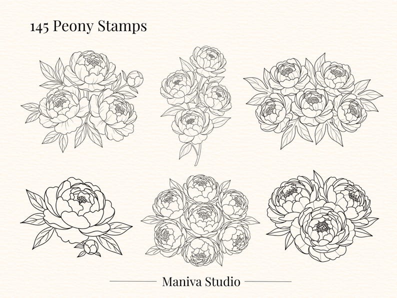 145 Peony Flower Brushes for Procreate, Photoshop & Photopea | Elegant ...