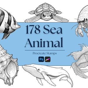 Peut inclure: Illustrations en noir et blanc de créatures marines variées, dont un poisson, une tortue, un bernard-l'ermite, un coquillage, une baleine et un autre poisson. Le texte "178 Sea Animal" est affiché sur fond bleu clair, avec "Procreate Stamps" en dessous.