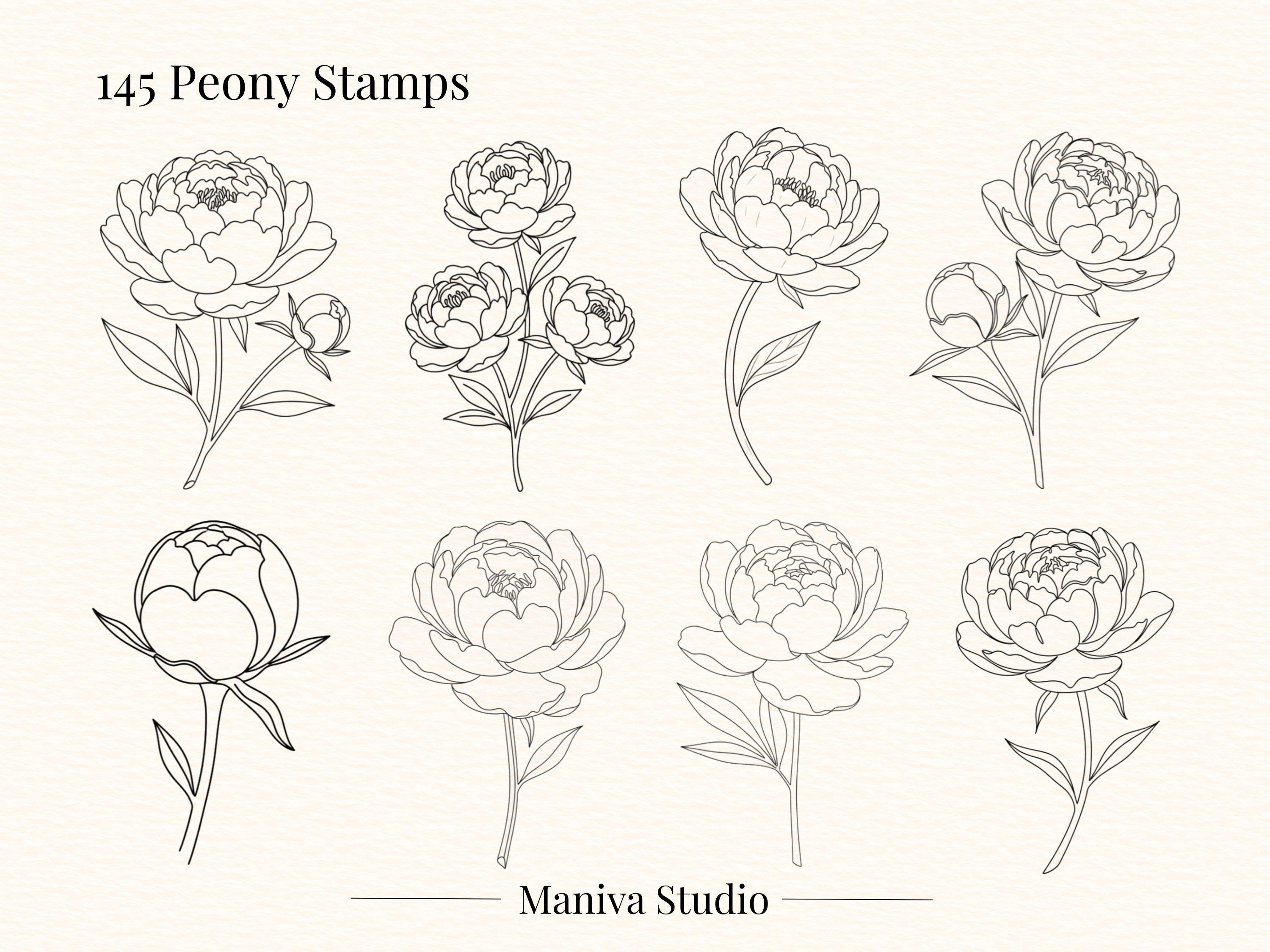 145 Peony Flower Brushes for Procreate, Photoshop & Photopea | Elegant ...