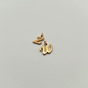 Puede incluir: Dos pequeños colgantes dorados en fuente cursiva. Uno es la letra "Z", y el otro es la letra "W". Ambos colgantes tienen un pequeño lazo en la parte superior para sujetarlos a una cadena o pulsera.
