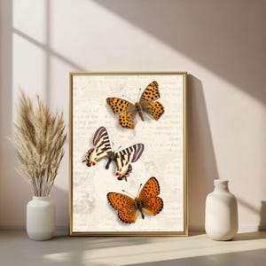 Orange Butterfly Wall Art | Insect Decor Print | Unique Home Decor | Vintage Butterfly Poster | Natural History Artwork | Digital Download