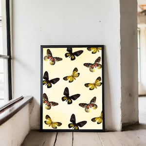 Yellow Black Butterfly Printable Wall Poster | Vintage Style Butterfly Collection Wall Art | Unique Nature Decor Gift  | Retro Wall Art