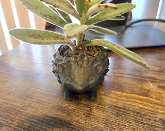 Hedgehog Succulent Pot: Small Animal Planter, Home/Office Decor