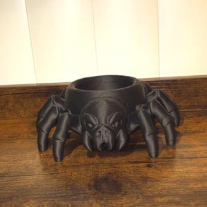 Spider Planter | Spider Shaped Holder