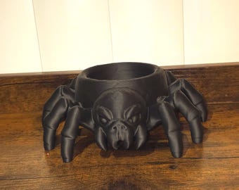 Spider Planter: Succulent Holder