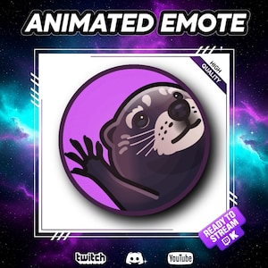 Puede incluir: Emoticono animado con una nutria de dibujos animados saludando. La nutria es de color marrón oscuro con la cara blanca, dentro de un círculo morado. El texto "ANIMATED EMOTE" está en la parte superior, con etiquetas "HIGH QUALITY" y "READY TO STREAM".