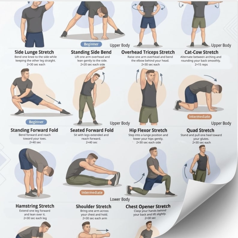Full Body Stretch Routine for Men PDF, Daily Stretching Exercise Chart