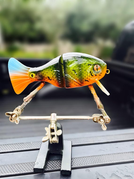 aquarium accessories for big fish How to create a suitable Tropical Fish Tank Aquarium Set Up