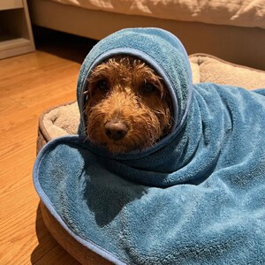以下が含まれることがあります： 青いタオルに包まれた茶色の犬。タオルはフードのように頭を覆っています。犬は茶色とベージュの配色で犬用ベッドに横たわっています。犬の濡れた毛皮が見えます。