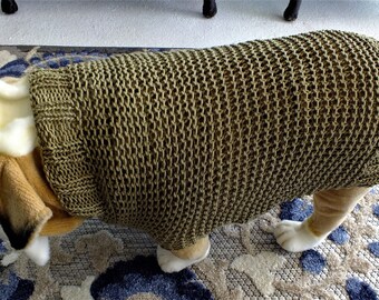 SALE English Bulldog hand knit sweater 18' long PIMA COTTON  Bay Leaf