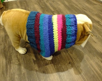 English Bulldog hand knit VEST 11' long Moose