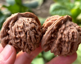 A Pair Baoding Balls Walnut Health Exercise Stress Balls Hands Palm Back Foot Antique Natural walnut handles relieve stress Vintage ls210