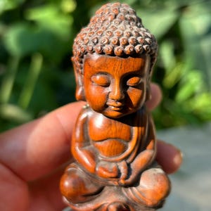 May include: A small, intricately carved wooden Buddha statue in a seated meditation pose. The statue is a warm brown color with detailed features, including a serene facial expression and a textured hairstyle. The Buddha is held in a hand against a blurred green background.
